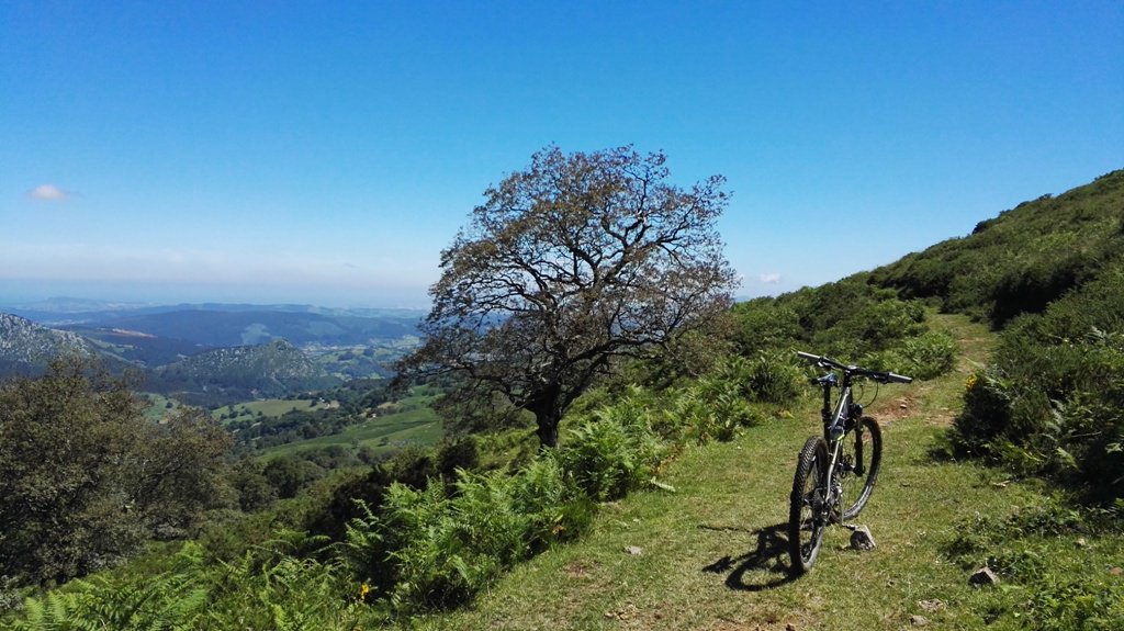 CabraBiker's tweet photo. Perdido en el paraíso! 🌲🚴🌳🐄☀😍 #CantabriaBike #BTT #Elmejordeportedelmundo #mtbplace @revista_BIKE @VallesPasiegos https://t.co/xm9UPG9leR