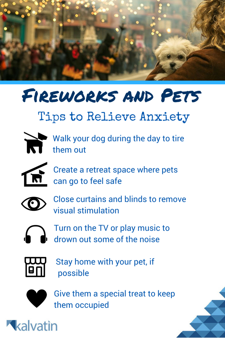 AdartisAH's tweet photo. Pet firework anxiety? Use these helpful tips! #fireworks #anxiety #dogs #cats #4thofjuly https://t.co/6ANU2mxXwP https://t.co/fyg6k9FbEq