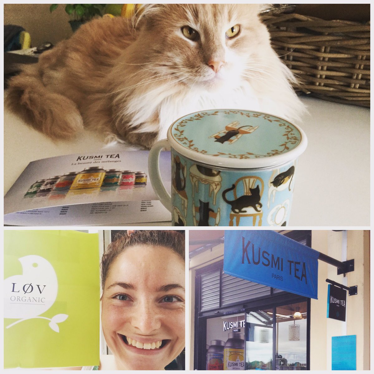 WorldNaturelle's tweet photo. #addictedtotea @KusmiTea βΊοΈ #tealover #mug #mugcollector #catlady #teacollector #japanese #worldnaturelle #cat https://t.co/xtFLx5UEJS