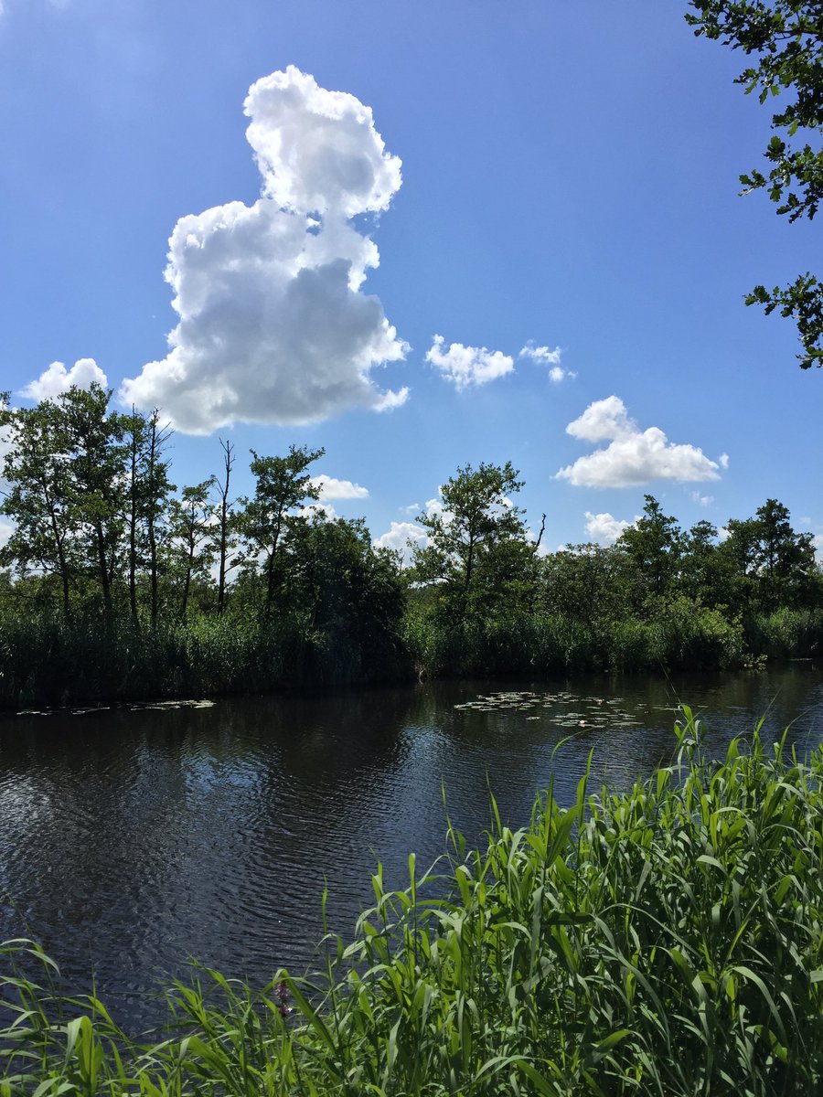 hansvdlinden's tweet photo. Wel een wolkje aan de lucht: Ankeveen &amp; de Goog. @waarneming @Cloudspottinguk https://t.co/1wFvOUvynZ