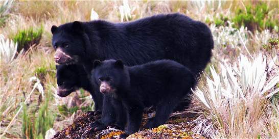 Ver imagen en Twitter Ver imagen en Twitter