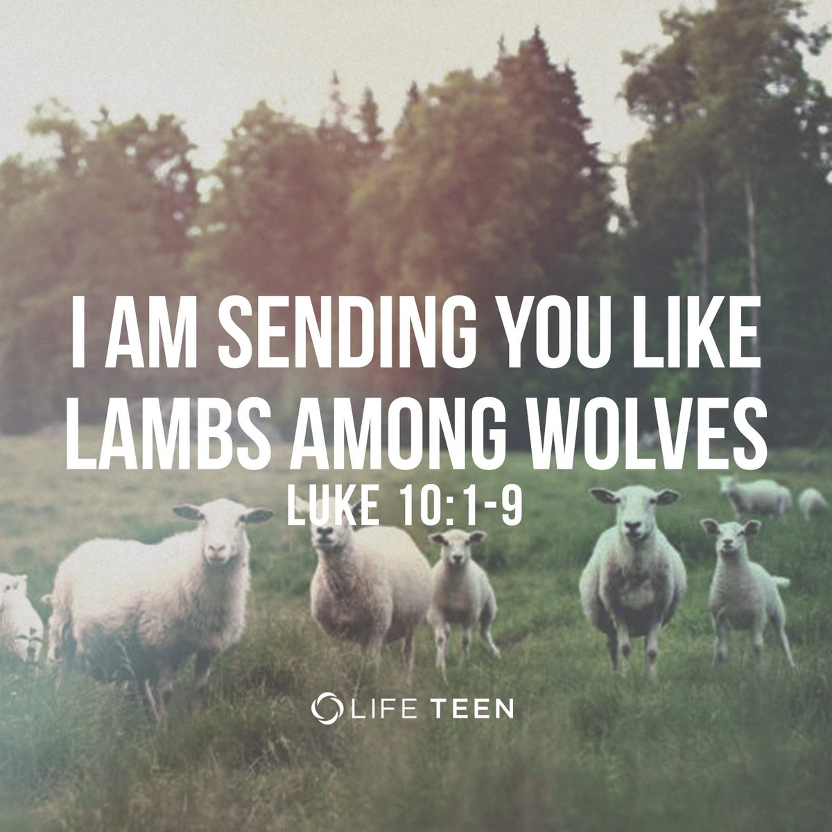 HSCatholic_YM's tweet photo. Lord, give us the courage to speak and the humility to handle rejection, remembering that we are not alone. https://t.co/7SSXVOrrlw