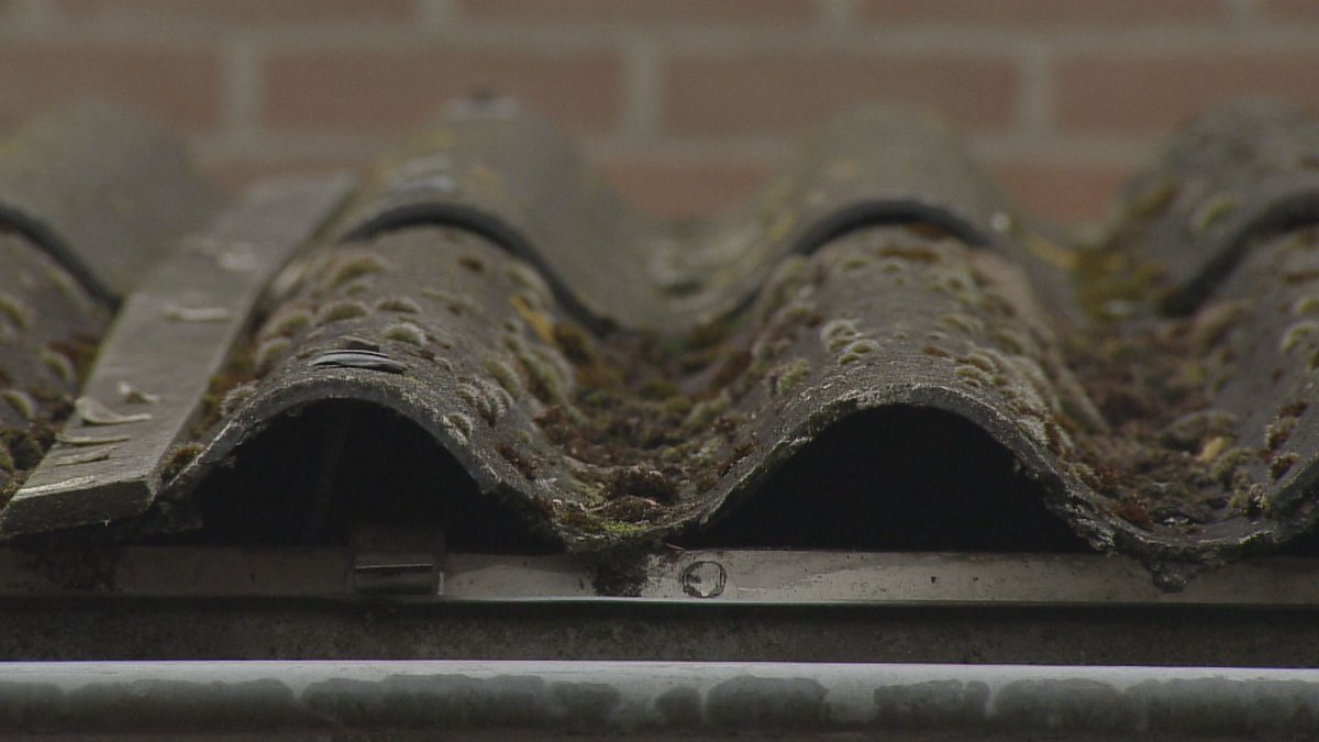OmroepFlevoland's tweet photo. Ook veel tuinschuurtjes in Lelystad blijken asbest op het dak te hebben #RTVOF https://t.co/eAhyDJcsmP https://t.co/cj9IO54RIk