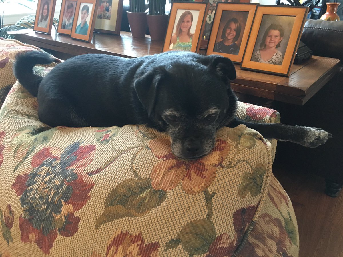 Victor46074's tweet photo. My favorite spot on the couch. Looking at pics of @kaylinfarnum @mandy_farnum https://t.co/WDxZ6AnzVN