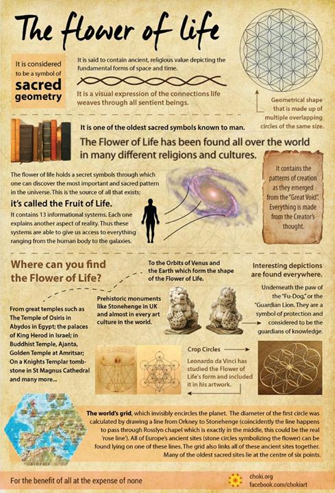 ChokiOrg's tweet photo. The Flower of Life it's one of the oldest sacred symbols known to man #LearningWithChoki https://t.co/PrbztpO5WH https://t.co/yNmvVRwIAJ
