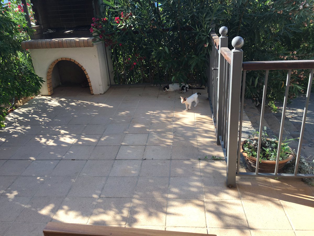 pendragay's tweet image. there is a lil family who keep tryin to get in