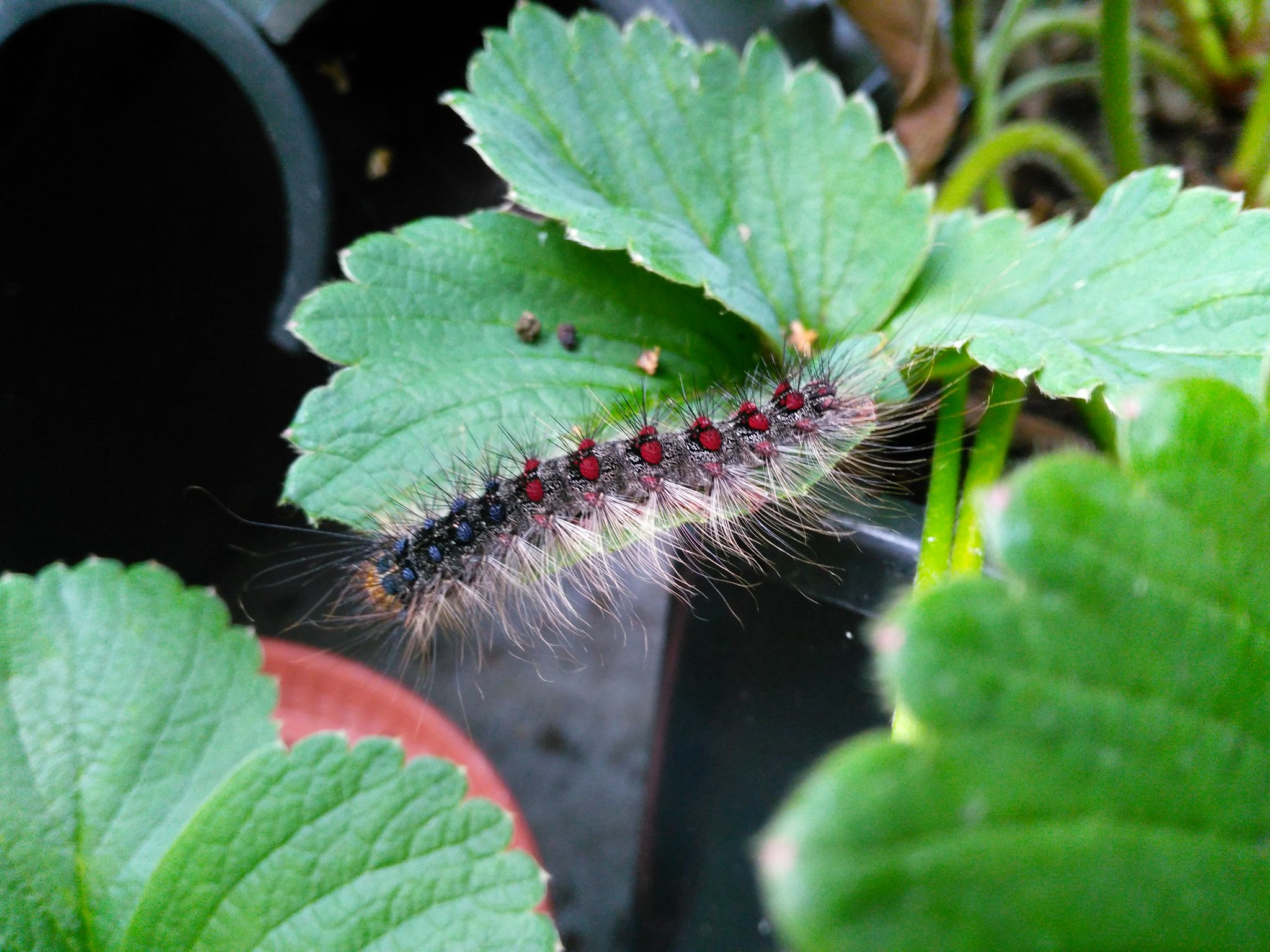 Cmdksy1WIAAD0-9.jpg:large