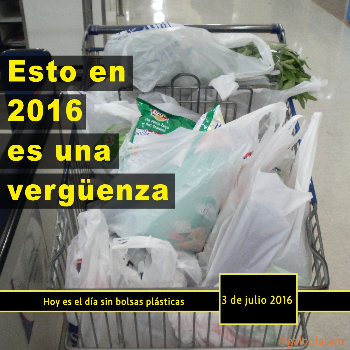 GalooLATAM's tweet photo. Hasta cuando seguimos en Chile con esto? Una vergüenza!

https://t.co/nrc8lz6EqV 

#sinplastico #soyceroplastico https://t.co/xub8cUze5I