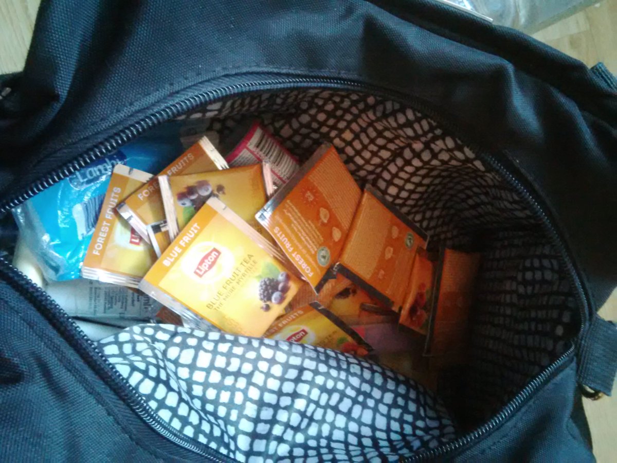 Ellociraptor's tweet photo. Convention loot. Also have 5 kg oats and a bag of chips. #multicon2016 https://t.co/CTButdA7sn
