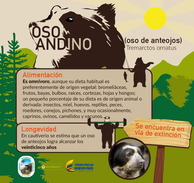 Ver imagen en Twitter