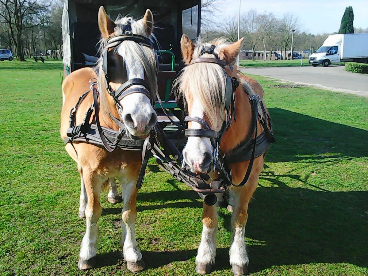 Oct_156's tweet image. 