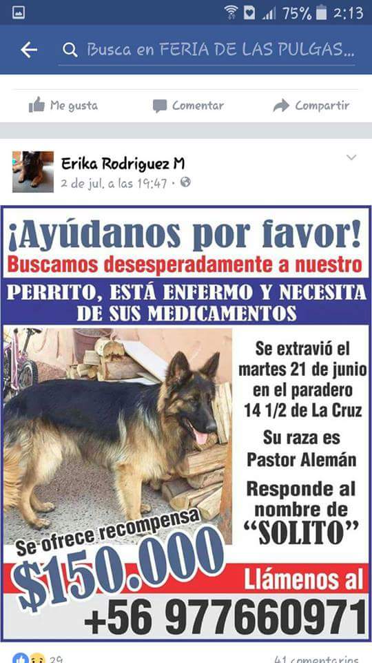 lmdaz (@lmdaz) on Twitter photo 