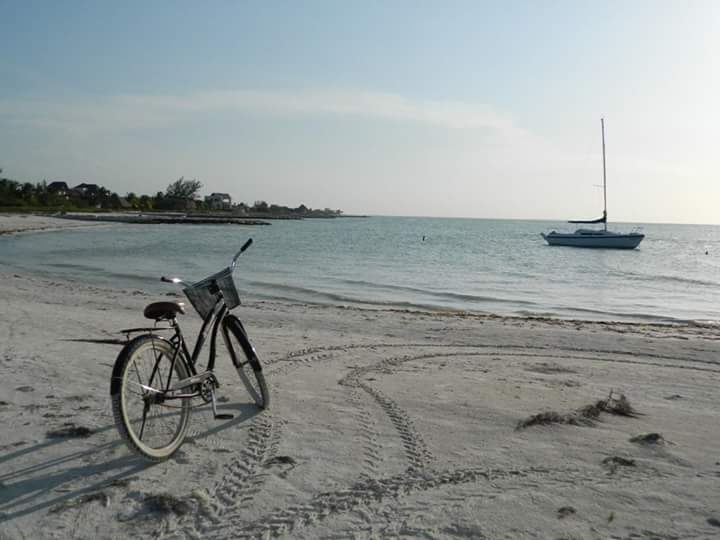 LOAHolbox's tweet photo. Happy Sunday everyone! We are waiting for you! #CasaLoa #HotelBoutique #Holbox https://t.co/fIqLiMlfZt