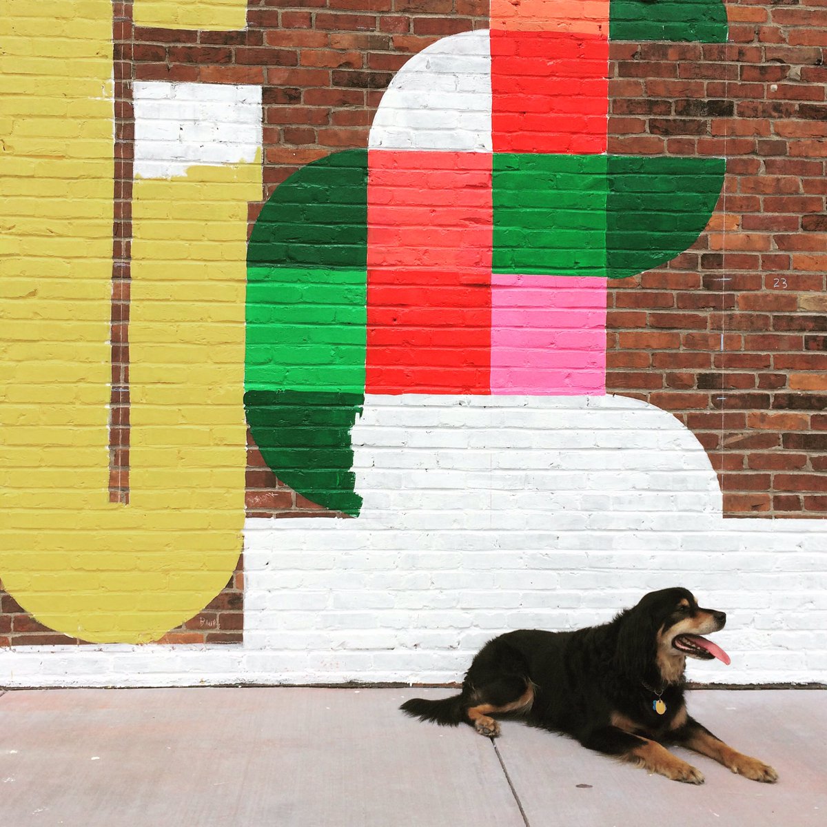 SprocketMurals's tweet photo. Thank you so much to all of our supporters for helping to beautify our city! Located @MidtownCinema @ZerodayBrewing https://t.co/jcHKtRXyH2