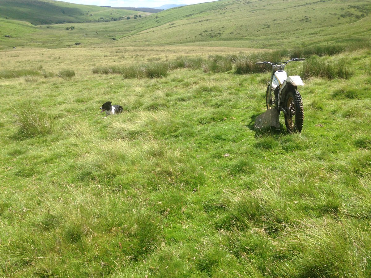 Rhys Wilson tweet media