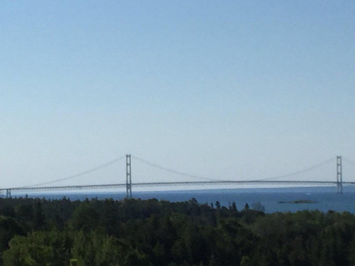 45buttonbuck's tweet image. 