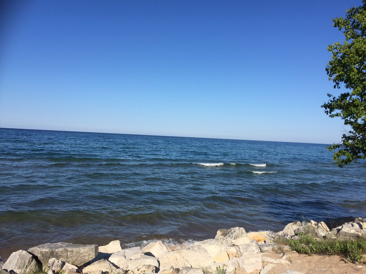 45buttonbuck's tweet image. 