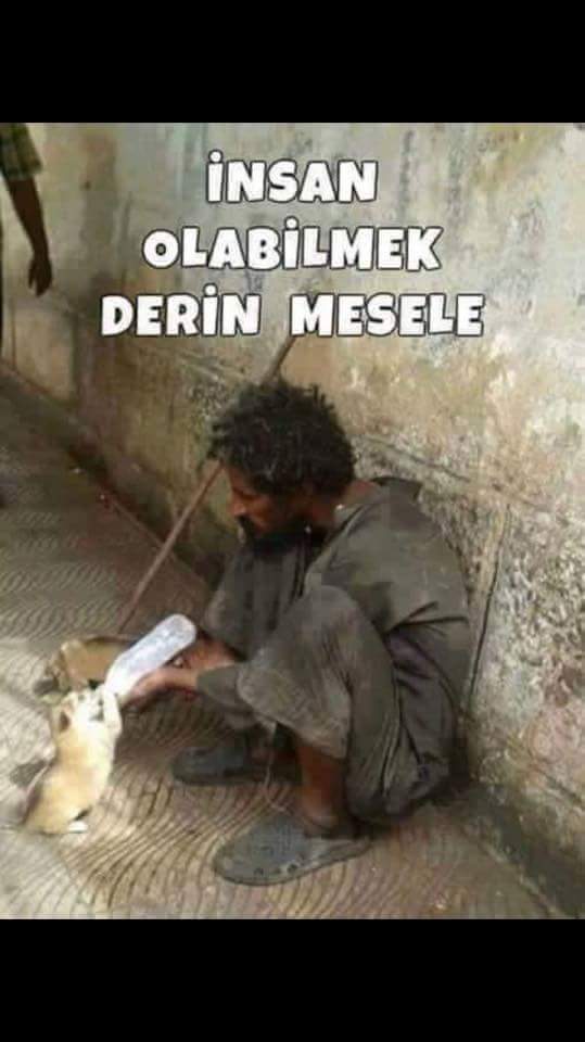 SelamiAkda4's tweet photo. Yoruma gerek varmı? https://t.co/AlUDtoWP5x