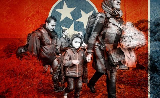 New York Daily News tweet media