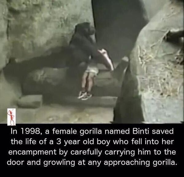 twins_n_wins's tweet photo. this is why i love animals more than i love human beings https://t.co/WXhaib8VBE