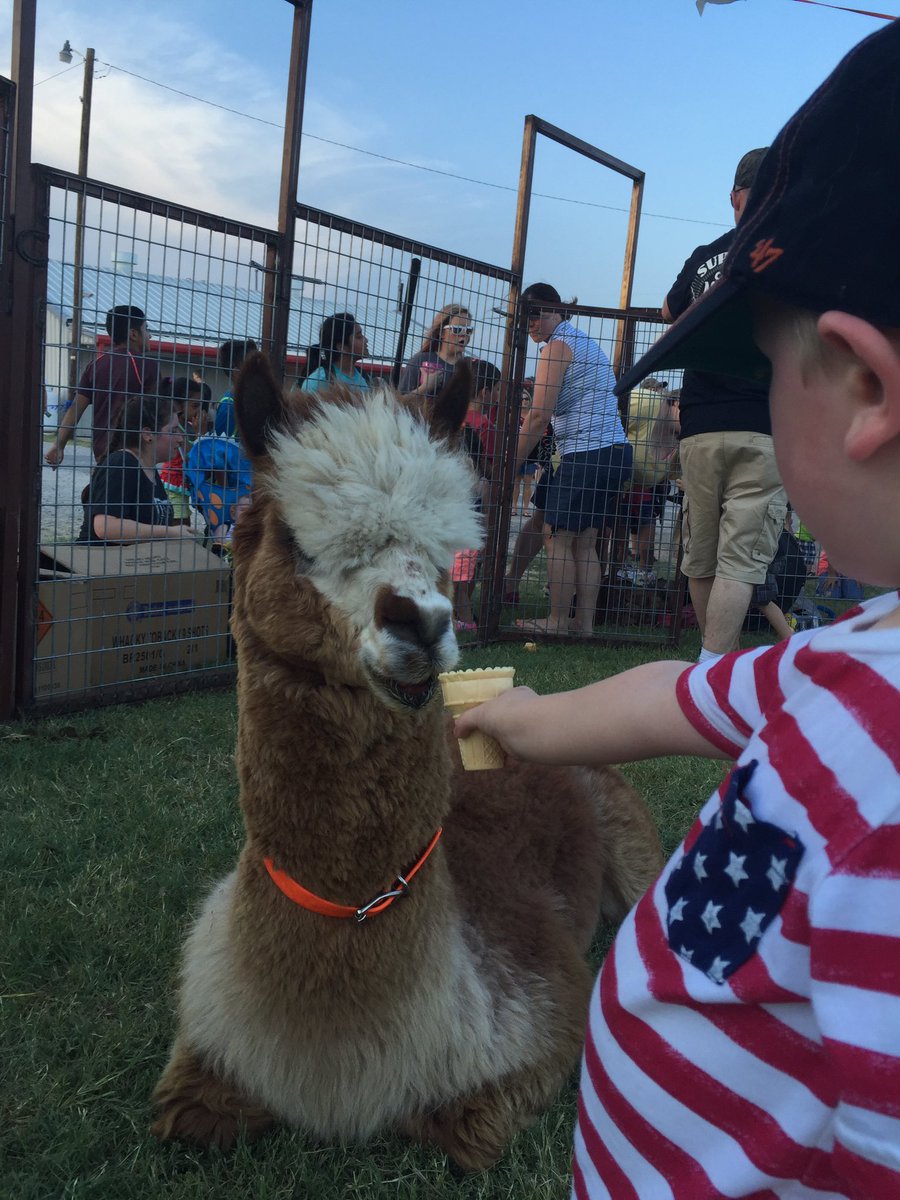 BeckyJackets's tweet photo. Community fireworks tonight! https://t.co/qN1J6euoOR