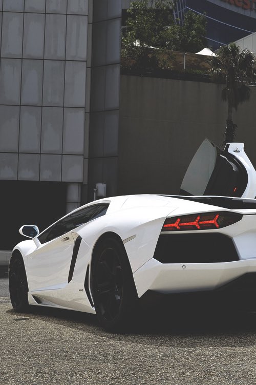 Lavish LifeStyle tweet media