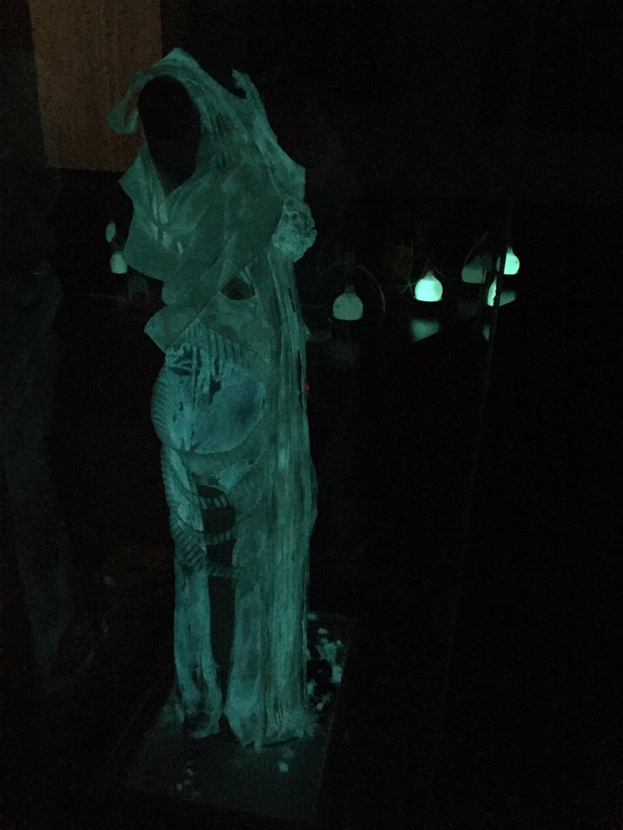 eLuminateFest's tweet photo. Our favourite #SciArt piece from this year's e-Luminate #Cambridge Festival #LoveLight2016 @VGeaney @plantsci https://t.co/HJ4P0Vy0RY