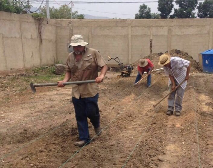 AmeliachPSUV's tweet photo. Ahí está el futuro, ahí está el más grande potencial para el desarrollo del país, en la siembra, en la agricultura https://t.co/ACzWZIbjvo
