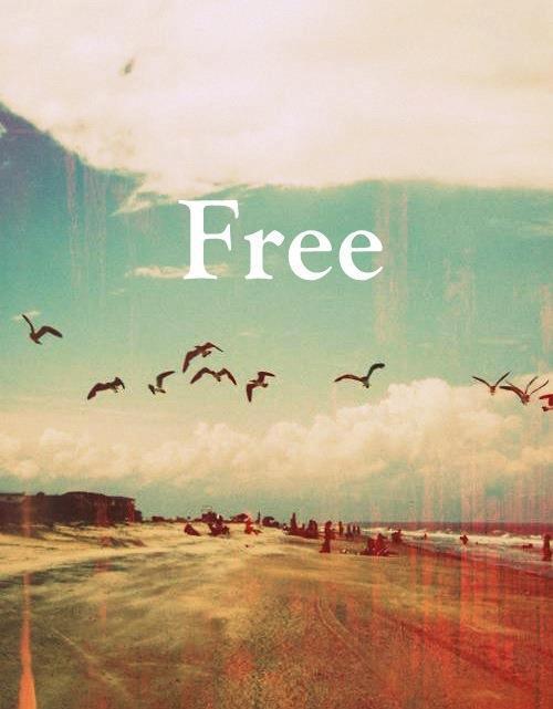 LiquidoDubai's tweet photo. All good things are wild and free! #Yoga #Dubai https://t.co/fvOLv2kijP