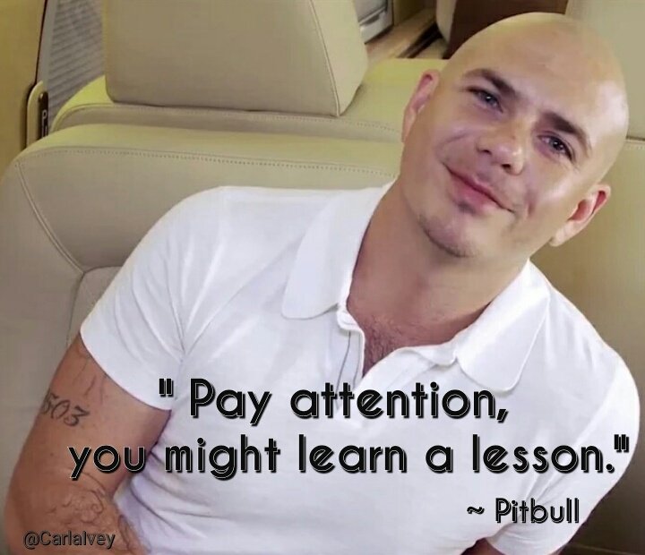 CarlaIvey's tweet image. "Pay attention, you might learn a lesson."~@pitbull #PitbullQuoteOfTheDay #PayAttention #LearnALesson #PitbullWisdom