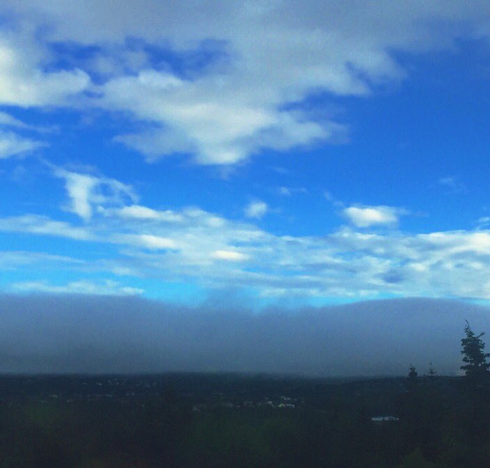 Kristicious1112's tweet photo. Torbay ( blue sky) looking towards the city. @EddieSheerr @ryansnoddon https://t.co/GTbvWSGf3p