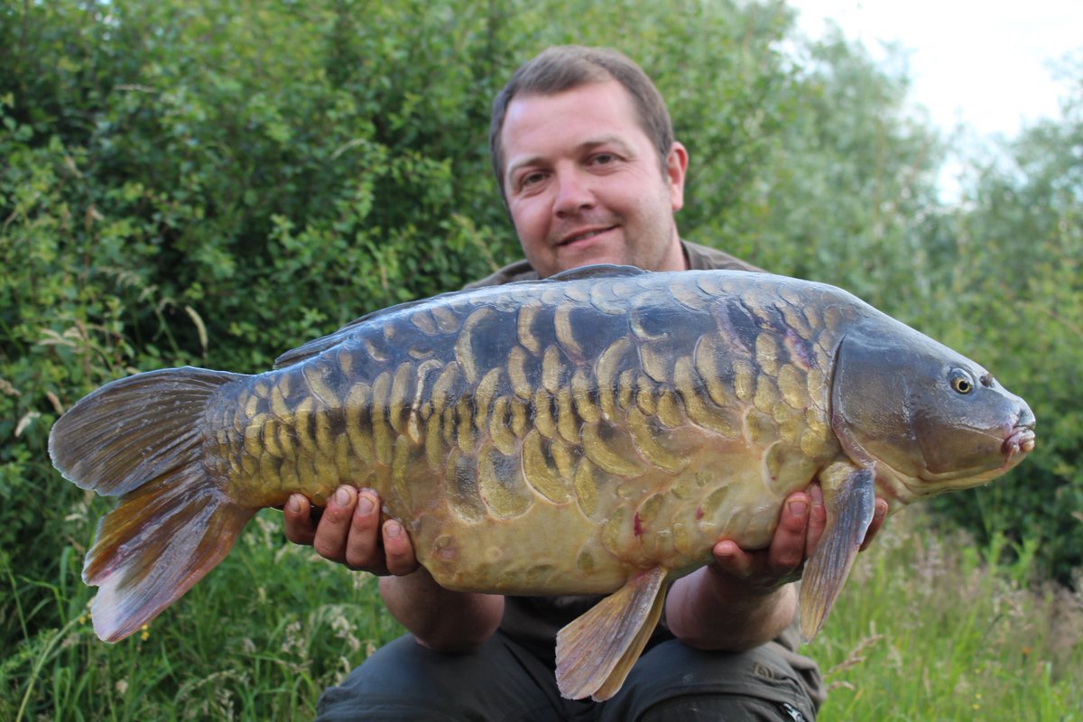 JamieLondors's tweet photo. @KordaOfficial @AnglersMail @TeamMainline https://t.co/r10GDoWd8Q