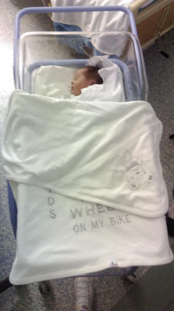 bombooooo1's tweet image. My pandaaaa🐼 soly😍