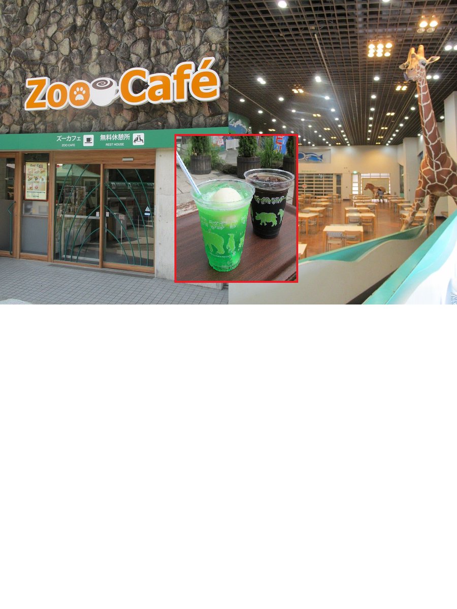 多摩動物公園 公式 多摩動物公園 ご来園時の際には 是非ウォッチングセンター内zoocafeをご利用ください ウォチングセンター内には臨時無料休憩所も併設されてれています キリンもいます 模型 ぜひお立ち寄りください Tzoo F