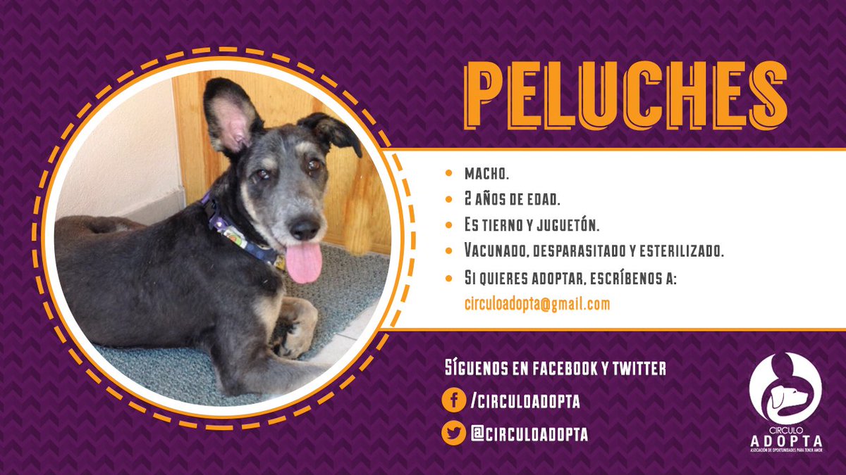 #Califan ayúdanos a regalarles una oportunidad de vida. Sigue a @CirculoAdopta para más información