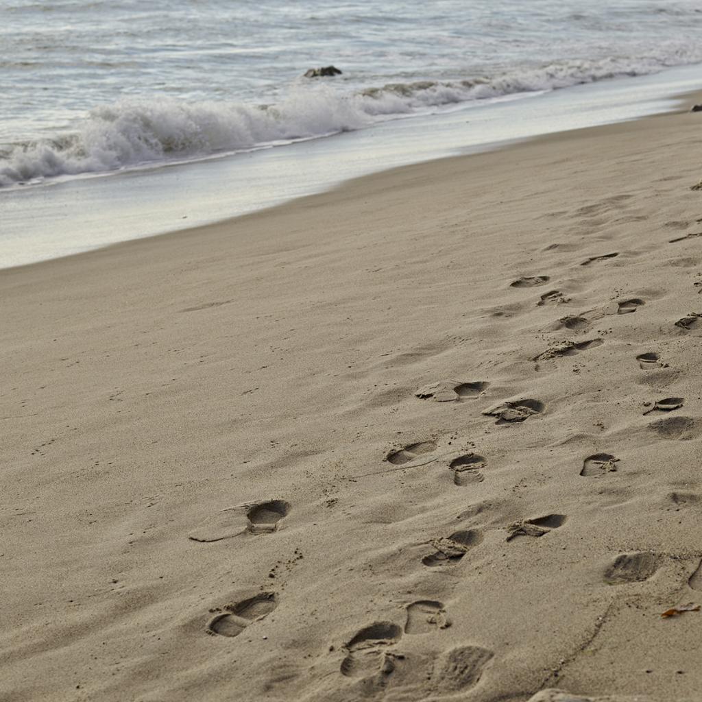 “The cure for anything is salt water – sweat, tears, or the sea." — Isak Dinesen