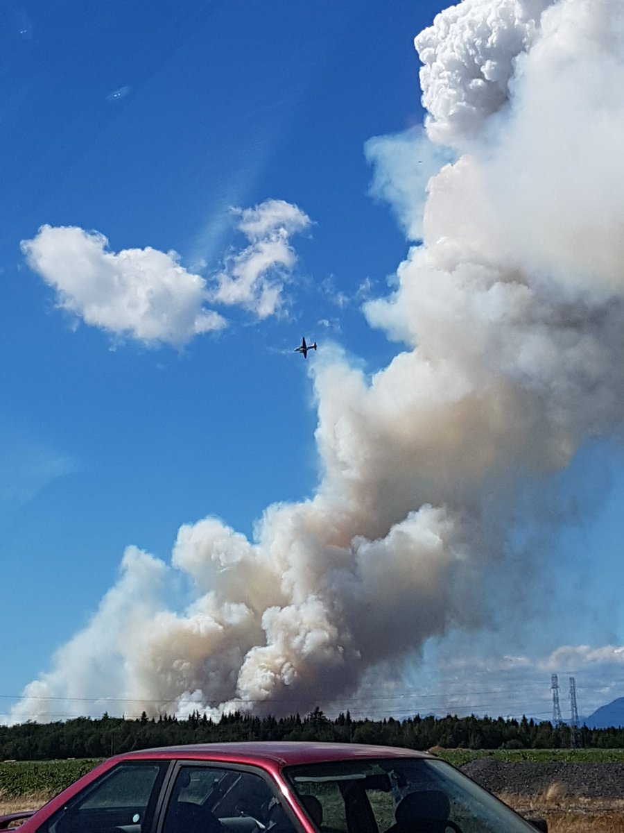 lanipage's tweet photo. One of the water bombers helping quench the Burns Bog fire. https://t.co/MHiFmS2wy7