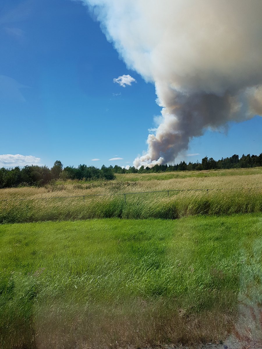lanipage's tweet photo. One of the water bombers helping quench the Burns Bog fire. https://t.co/MHiFmS2wy7