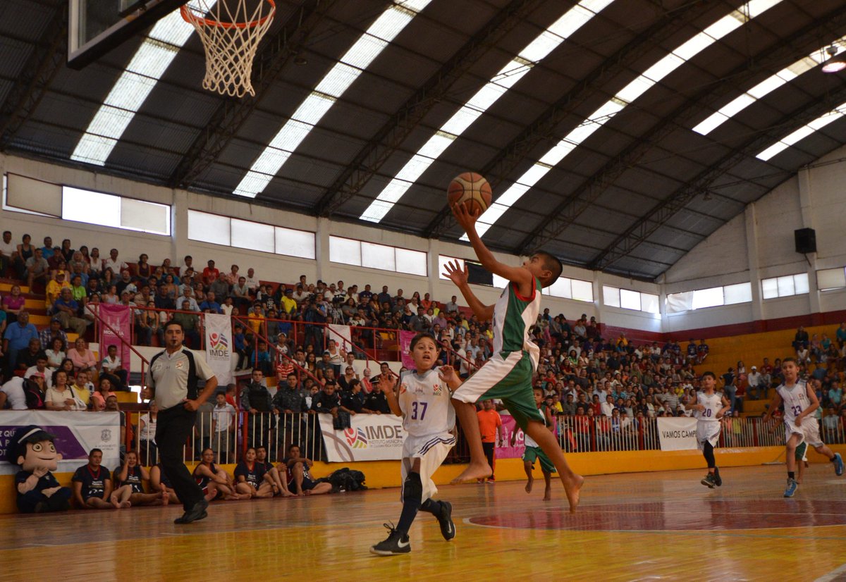 lajornadaonline's tweet photo. Niños basquetbolistas #triquis triunfan en Mundial de Barcelona
https://t.co/o1WWwgDY9F https://t.co/MDdLeonrSH