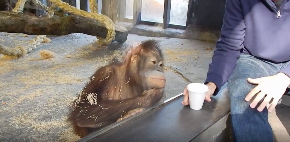 Science Channel tweet media