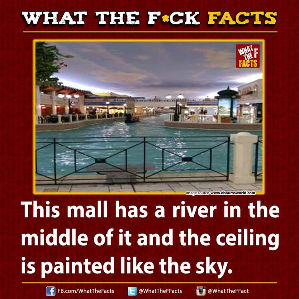 WhatTheFFacts's tweet photo. https://t.co/I2S0xkbiVB