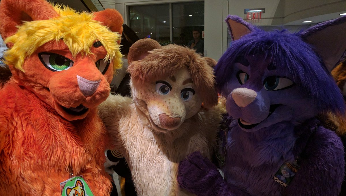 Startide's tweet photo. Even more cuties. @Mattocat @thatfreakingcat @Kyotsu_KB https://t.co/PECU8mYhyR