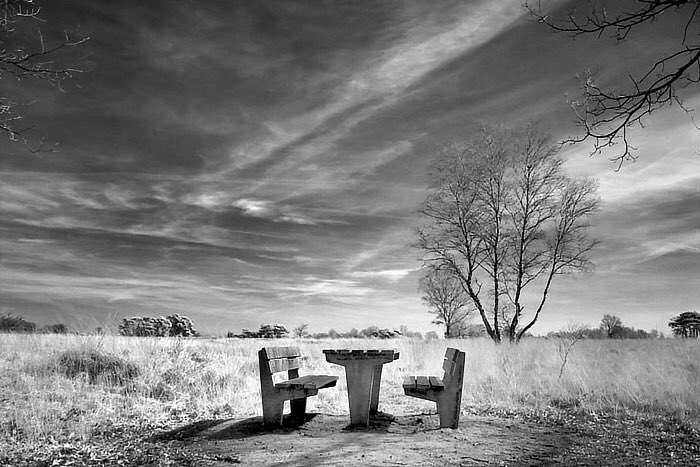 ولازال المكان خالياً كم تركناه عند فِراقنا !