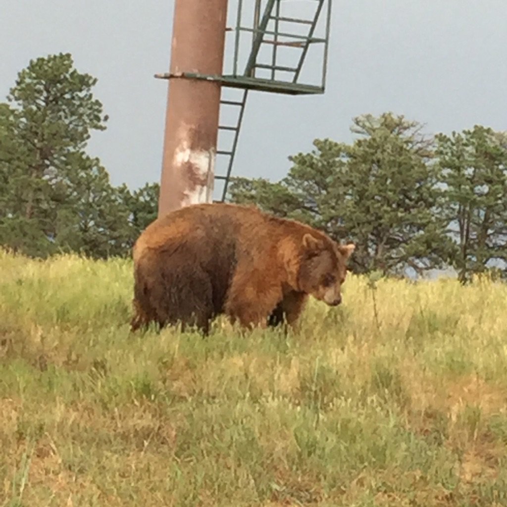 Sonya Kinnison tweet media