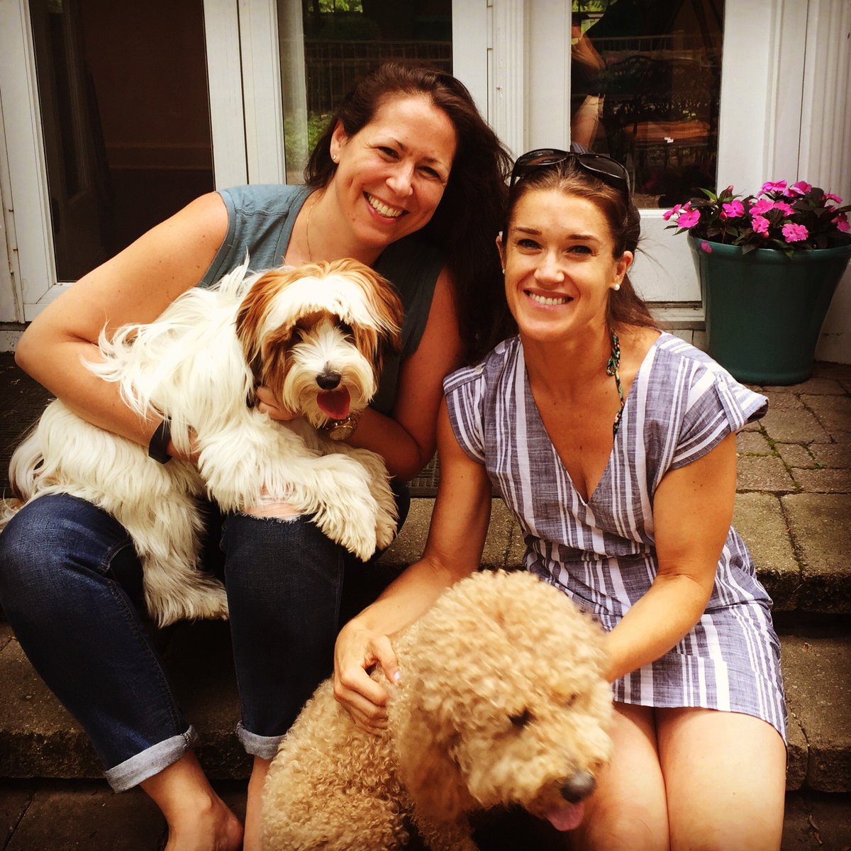 Reb_Alexander's tweet photo. #playdate for Monkey and Taco! πΎπΎπΎ#theyfinallymet https://t.co/1T5wfHO0sz
