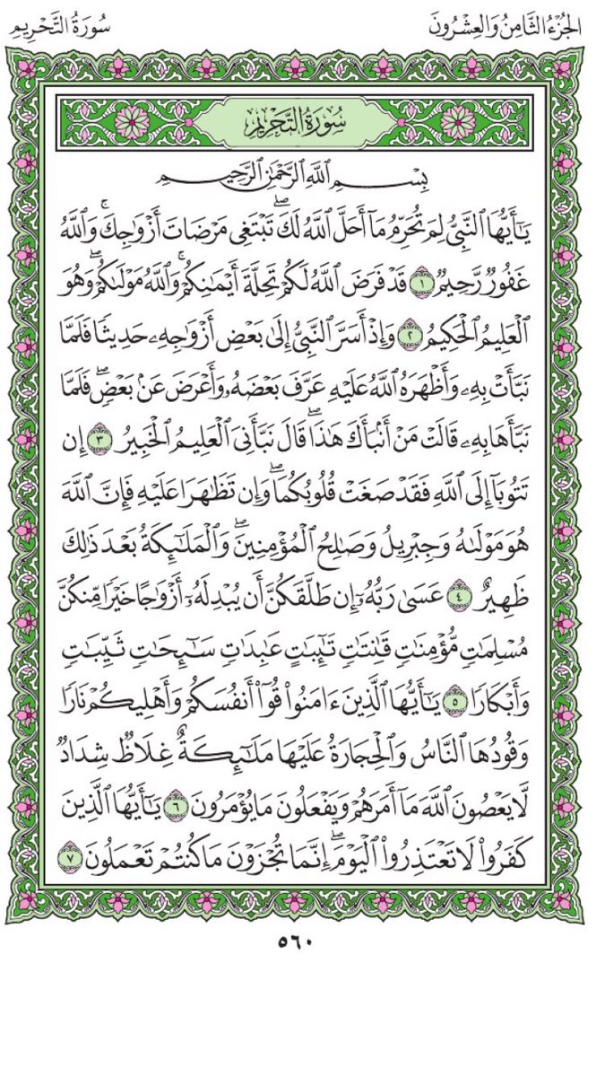 loody4561's tweet photo. اليوم الثامن والعشرون / فريضة :الغشاء https://t.co/JQKTfoZjqC