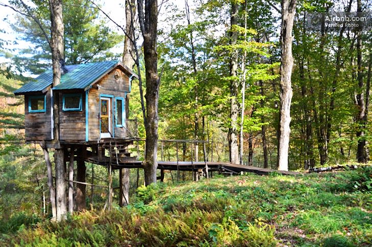 inhabitat's tweet photo. Tiny Fern Forest Treehouse Provides a Cozy Vacation Hideaway in the Woods of Vermont  https://t.co/yTfuyAhOqz https://t.co/nbPmYD2eq7