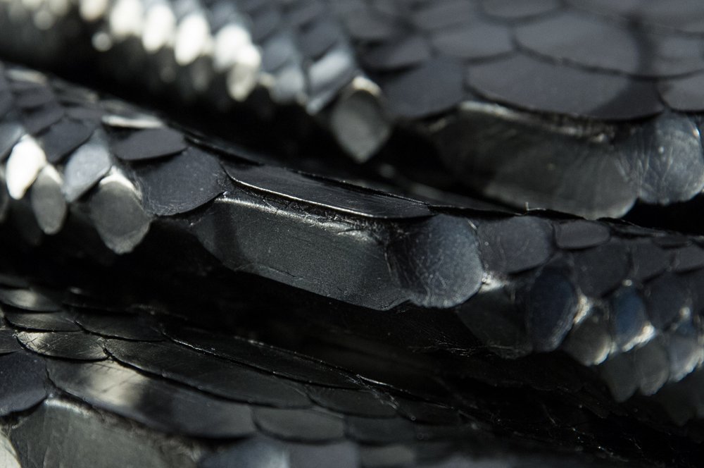 Caravelpelli's tweet photo. Pitone reticolato B.C. Planet 
https://t.co/OdQs2i11ea
#ExoticLeather #SpringSummer2017 #PythonLeather https://t.co/IY1fg38utJ
