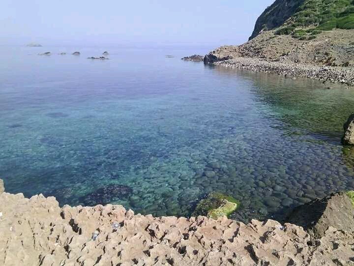 SeifLaref's tweet photo. Mon petit village
#La baie ouest
#chetaibi
#sable d'or https://t.co/vRhIXPzUg8