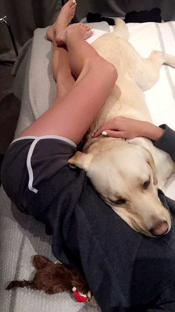 AveryDomi's tweet photo. Dog-sitting my nephew 💓 @max_domi he misses you https://t.co/HweJKBxZNC